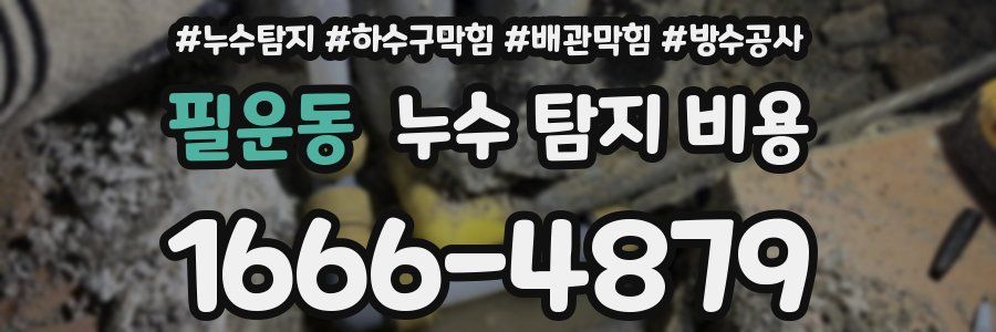 필운동 누수 탐지 비용