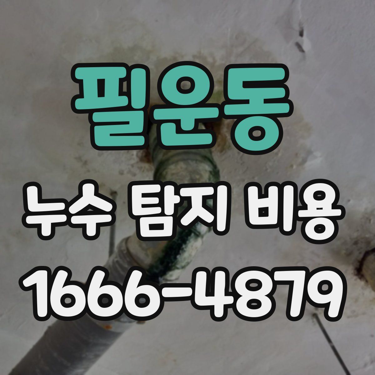 필운동 누수 탐지 비용