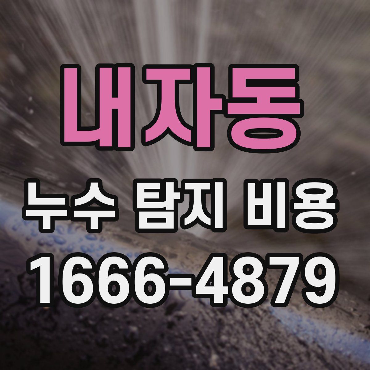 내자동 누수 탐지 비용