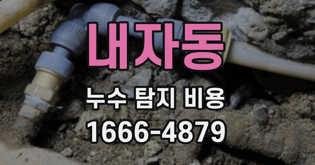 내자동 누수 탐지 비용