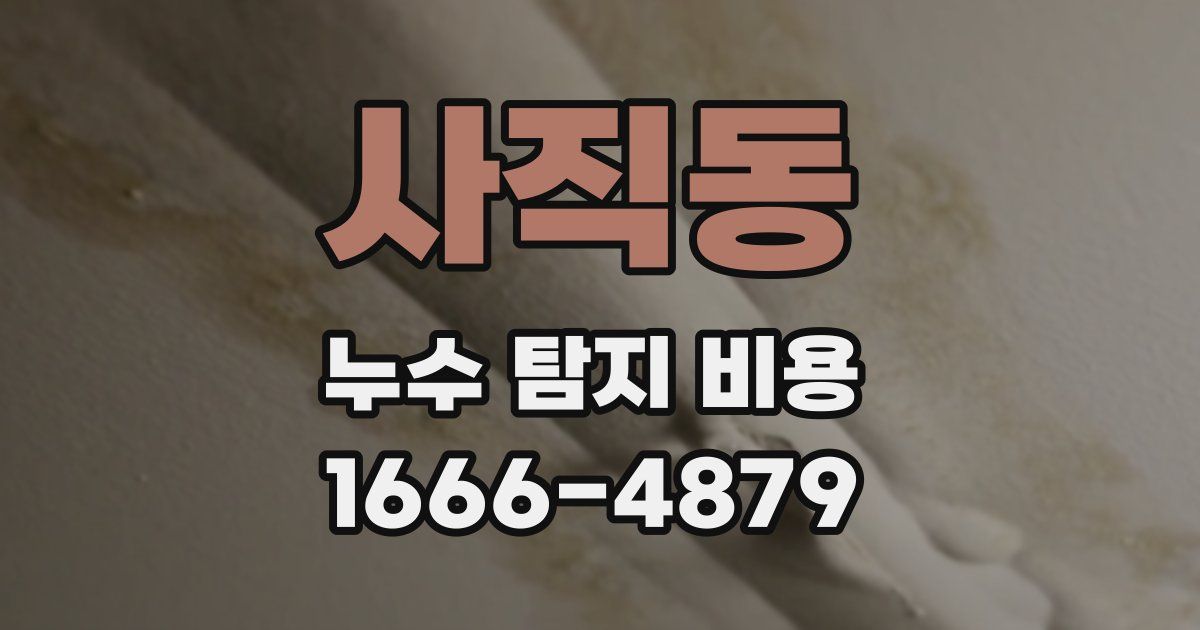사직동 누수 탐지 비용