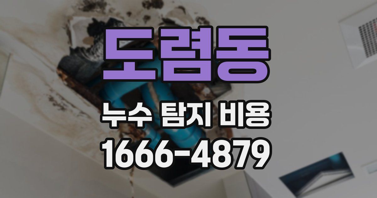 도렴동 누수 탐지 비용