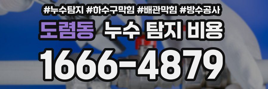 도렴동 누수 탐지 비용