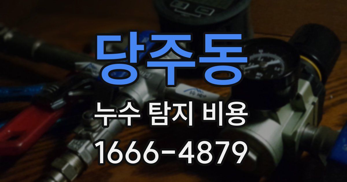당주동 누수 탐지 비용