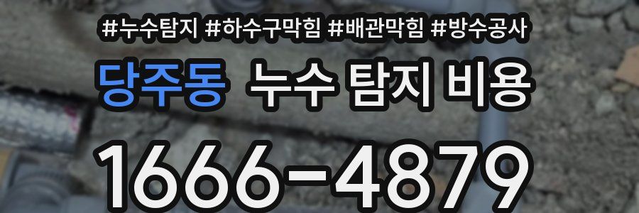 당주동 누수 탐지 비용