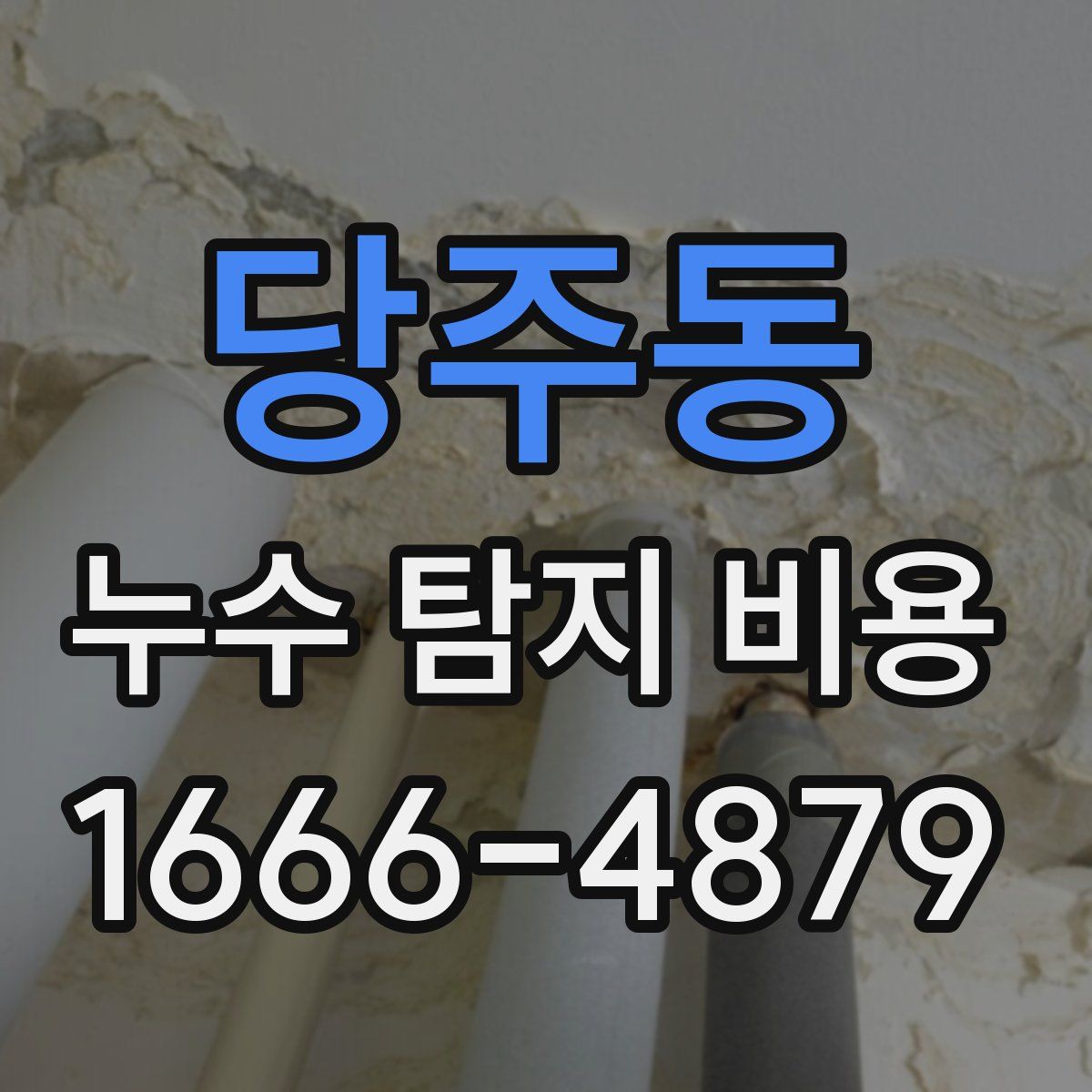 당주동 누수 탐지 비용