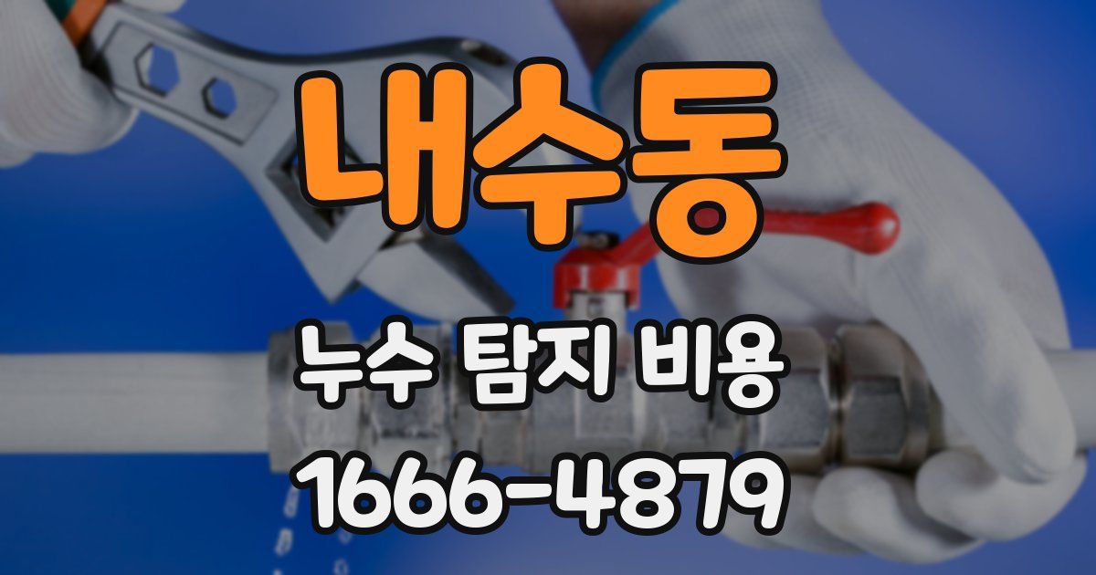 내수동 누수 탐지 비용