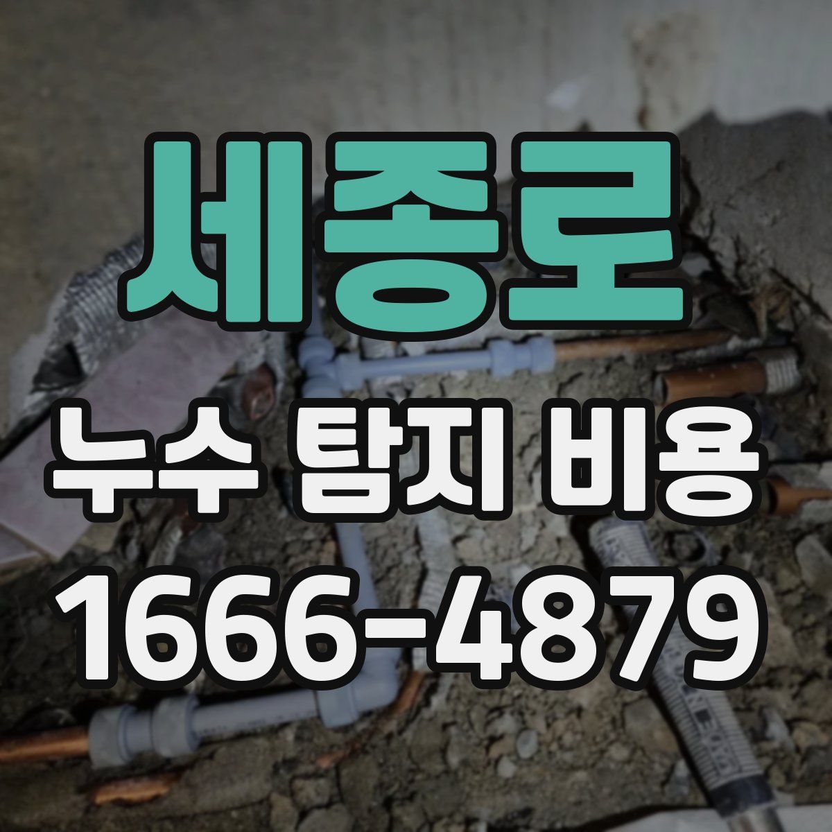 세종로 누수 탐지 비용