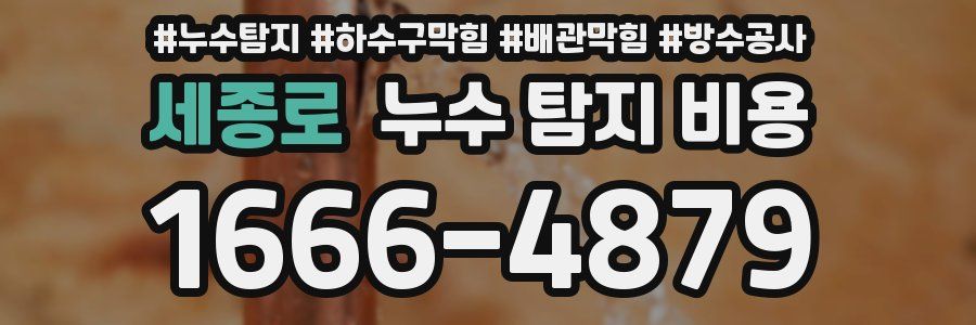 세종로 누수 탐지 비용