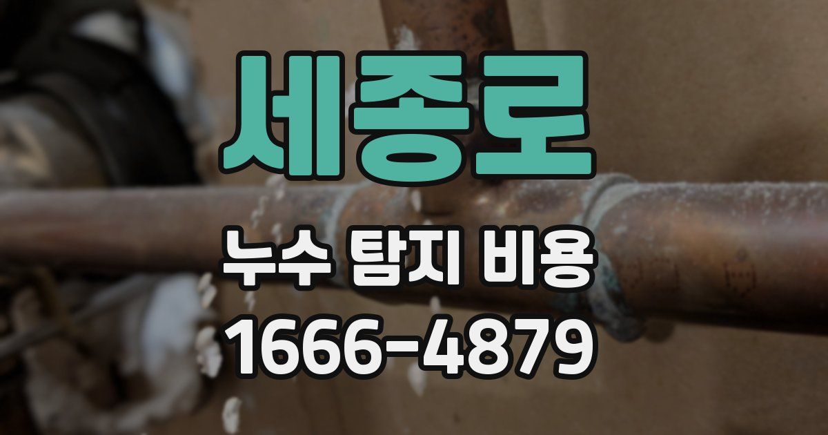 세종로 누수 탐지 비용
