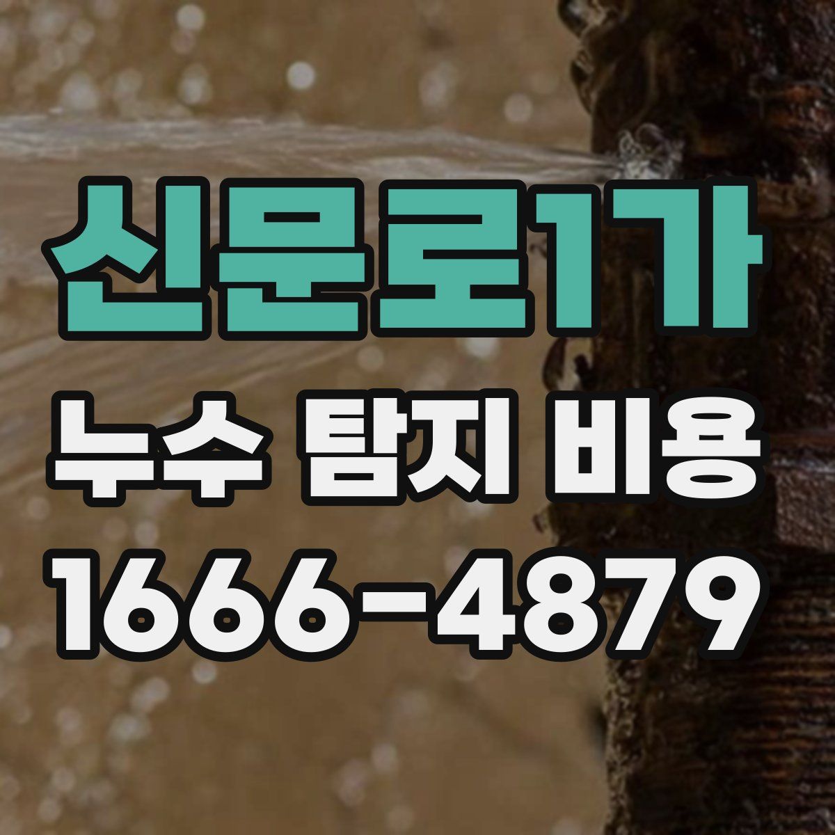 신문로1가 누수 탐지 비용