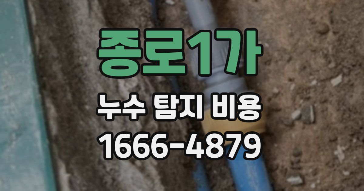종로1가 누수 탐지 비용