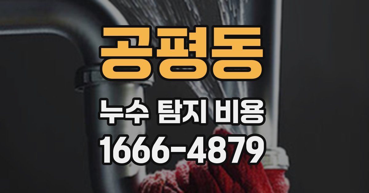 공평동 누수 탐지 비용