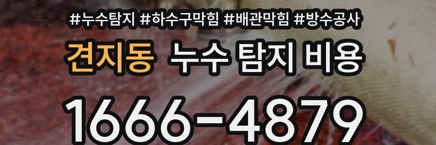 견지동 누수 탐지 비용