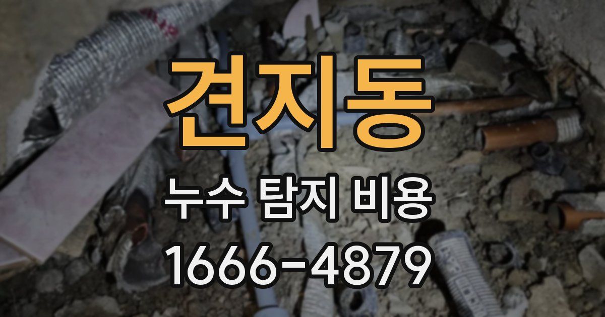 견지동 누수 탐지 비용