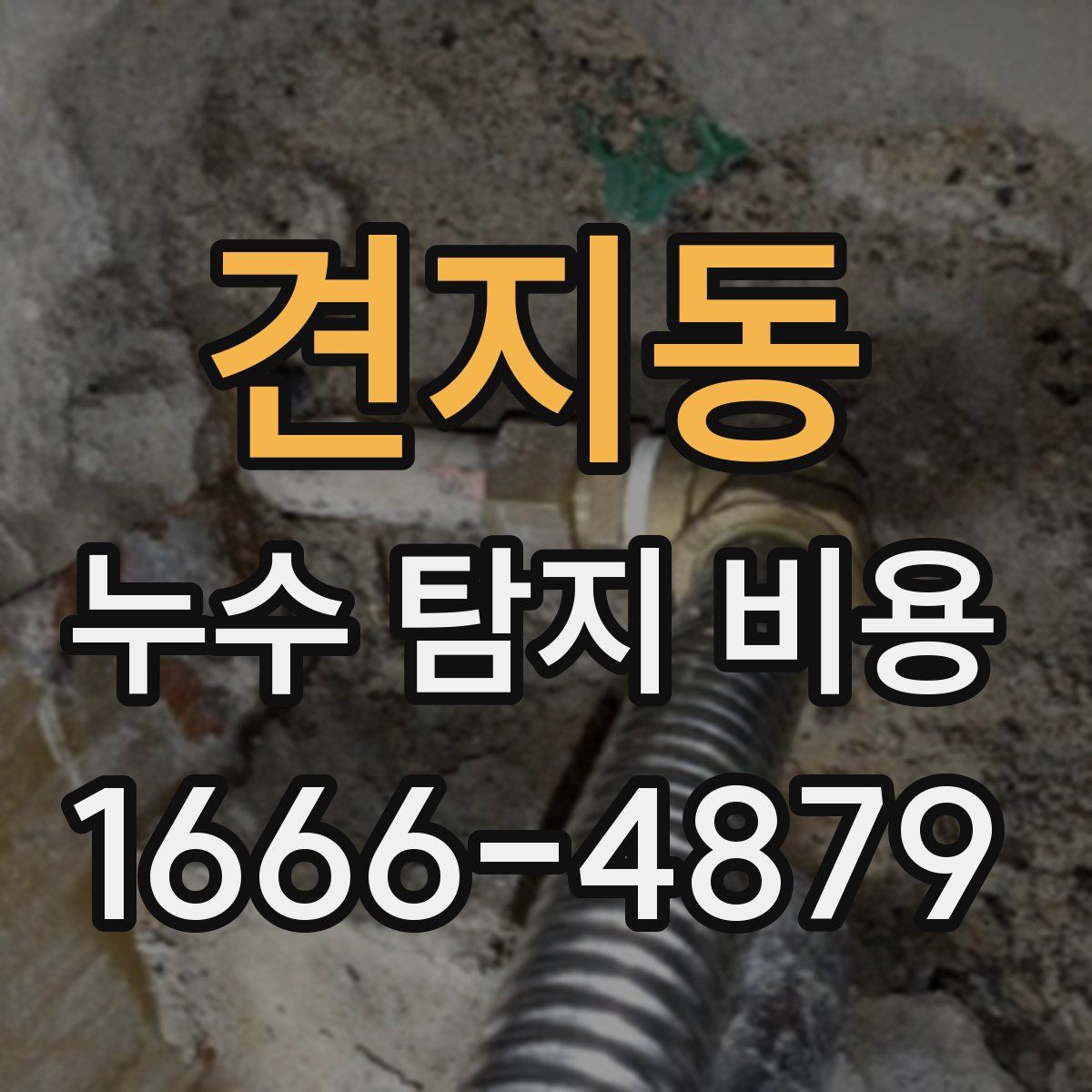 견지동 누수 탐지 비용