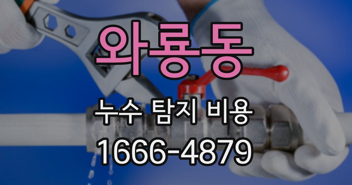 와룡동 누수 탐지 비용