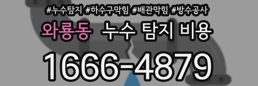 와룡동 누수 탐지 비용