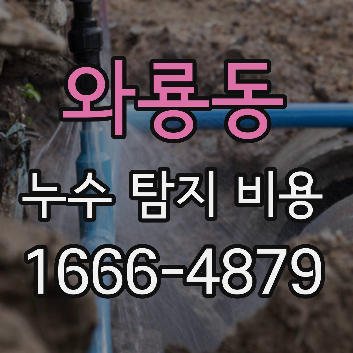 와룡동 누수 탐지 비용