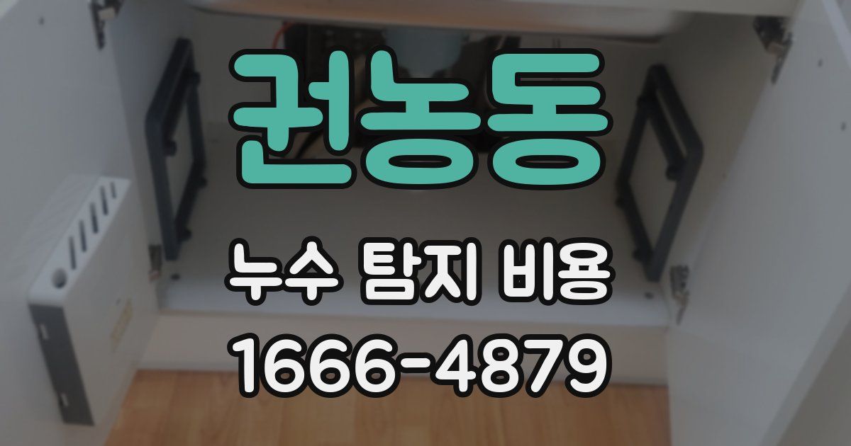 권농동 누수 탐지 비용