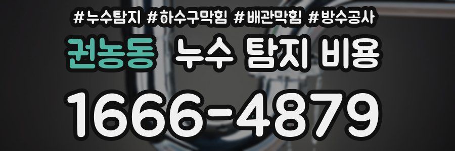권농동 누수 탐지 비용