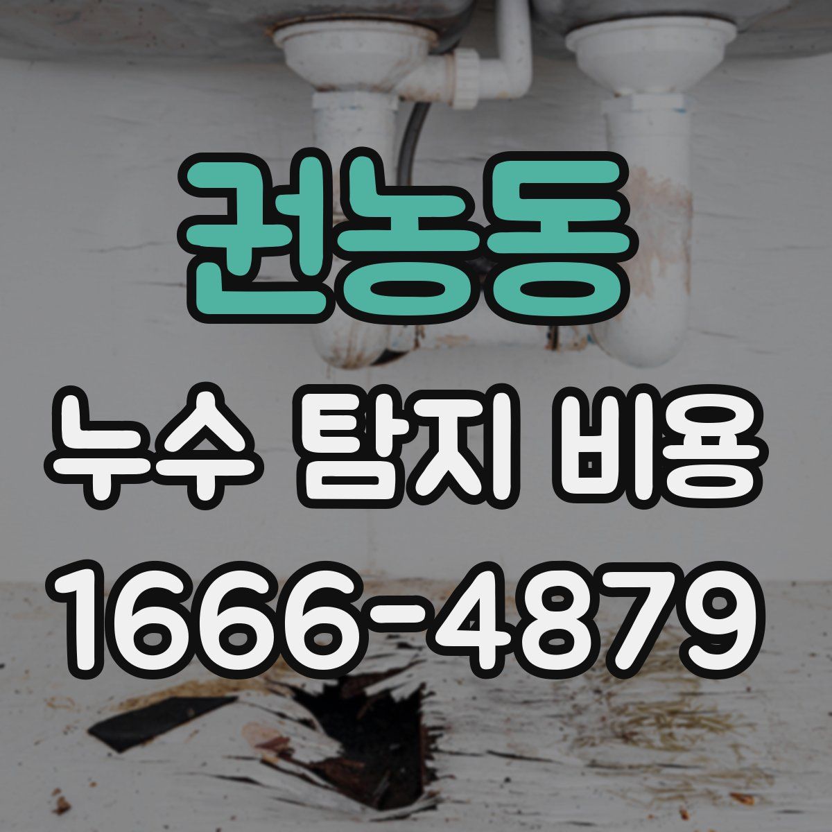 권농동 누수 탐지 비용