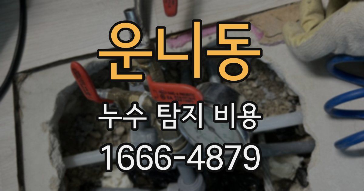 운니동 누수 탐지 비용