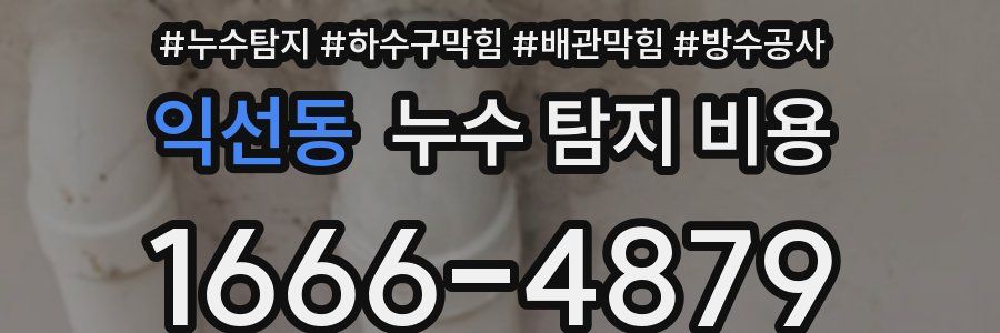 익선동 누수 탐지 비용