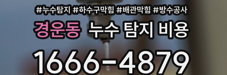 경운동 누수 탐지 비용