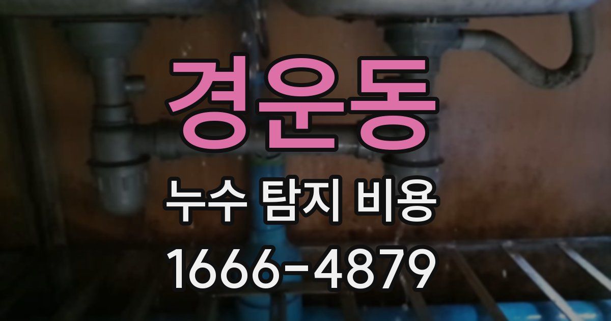 경운동 누수 탐지 비용