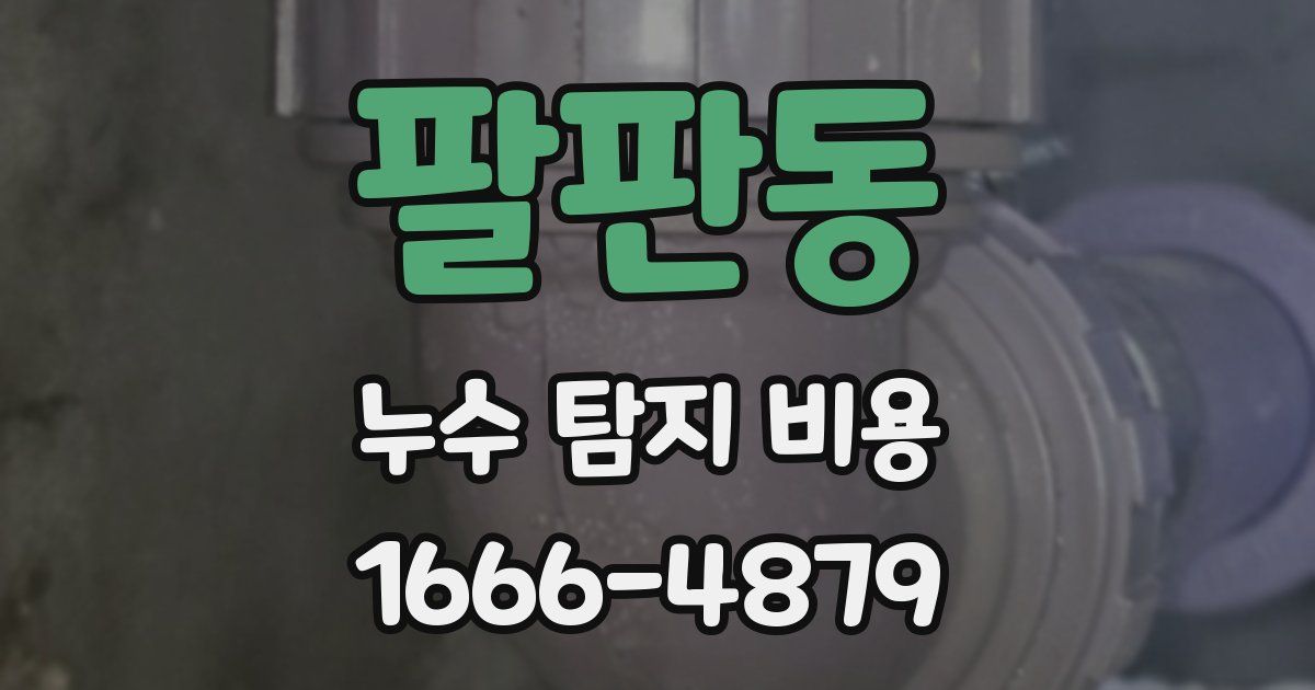 팔판동 누수 탐지 비용