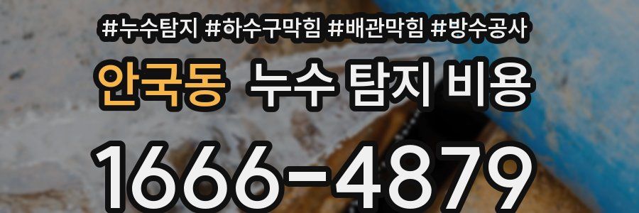안국동 누수 탐지 비용