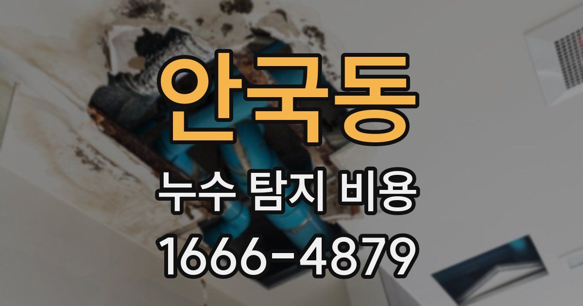안국동 누수 탐지 비용