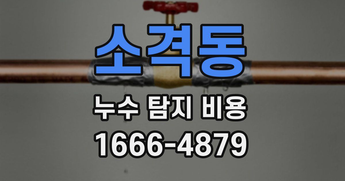 소격동 누수 탐지 비용