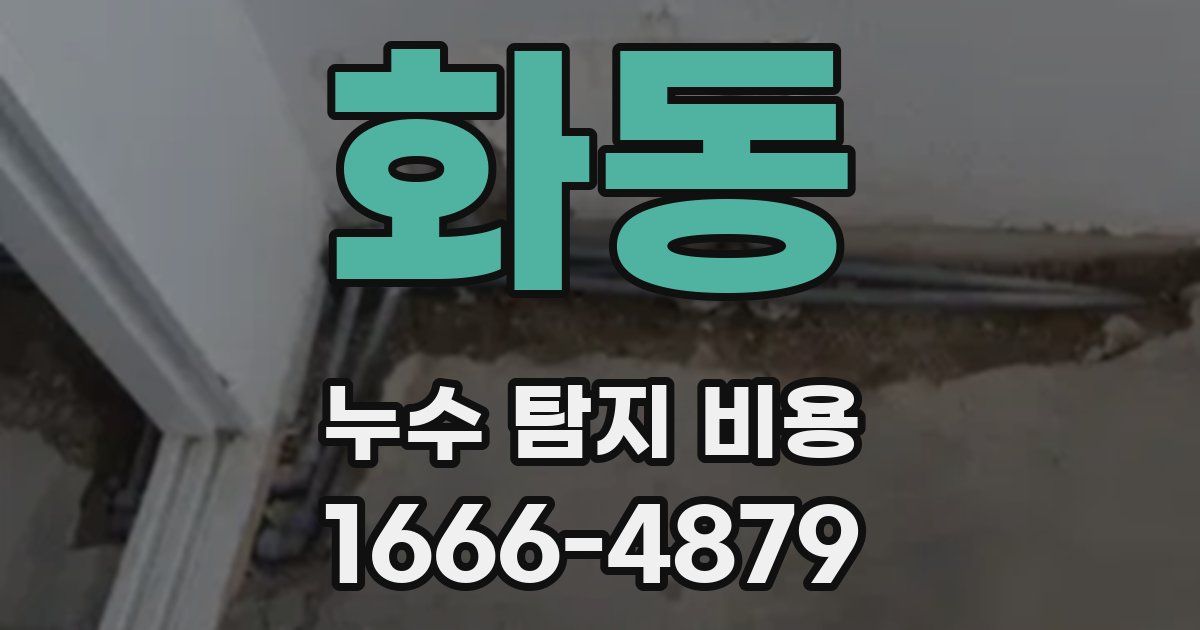 화동 누수 탐지 비용