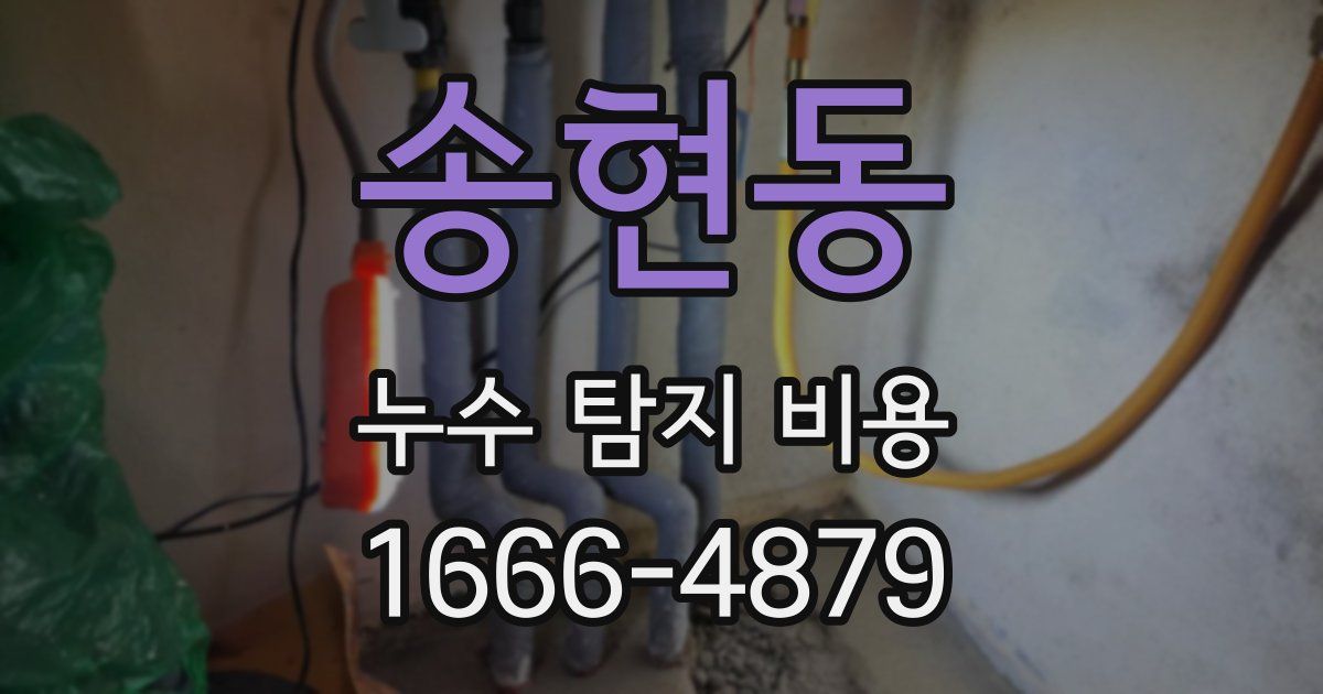 송현동 누수 탐지 비용