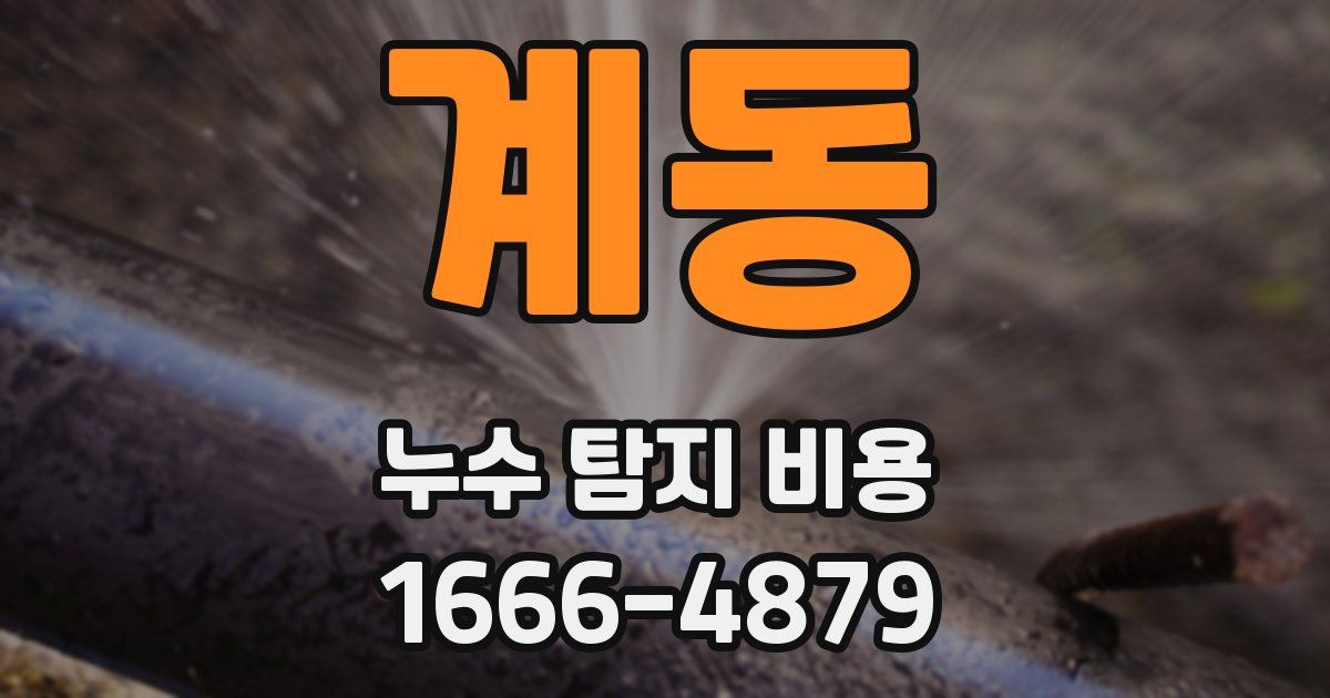 계동 누수 탐지 비용
