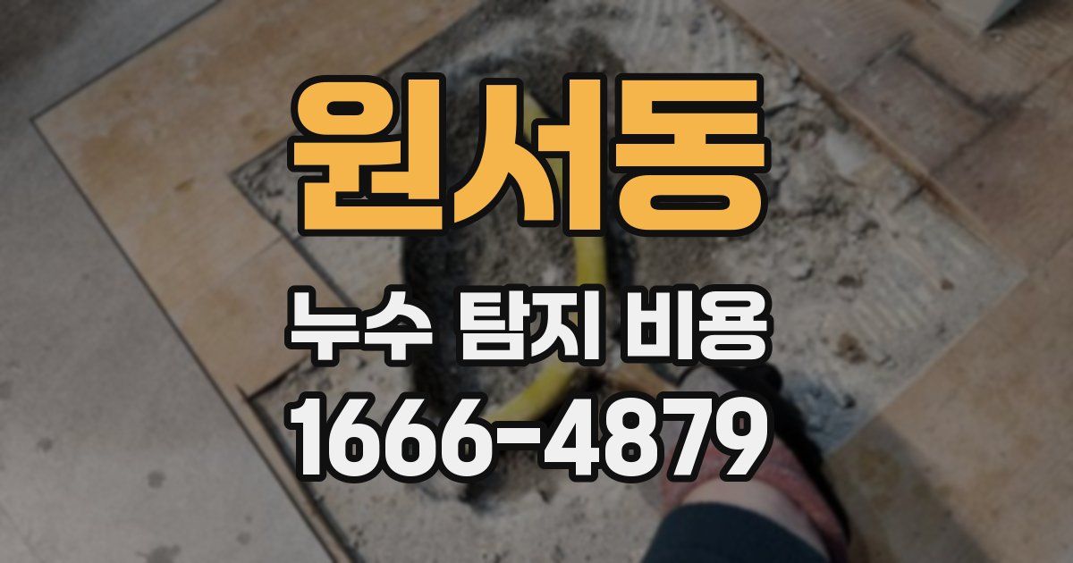 원서동 누수 탐지 비용