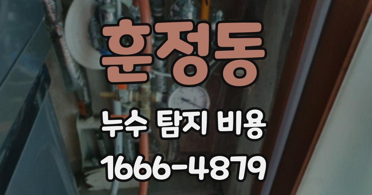훈정동 누수 탐지 비용