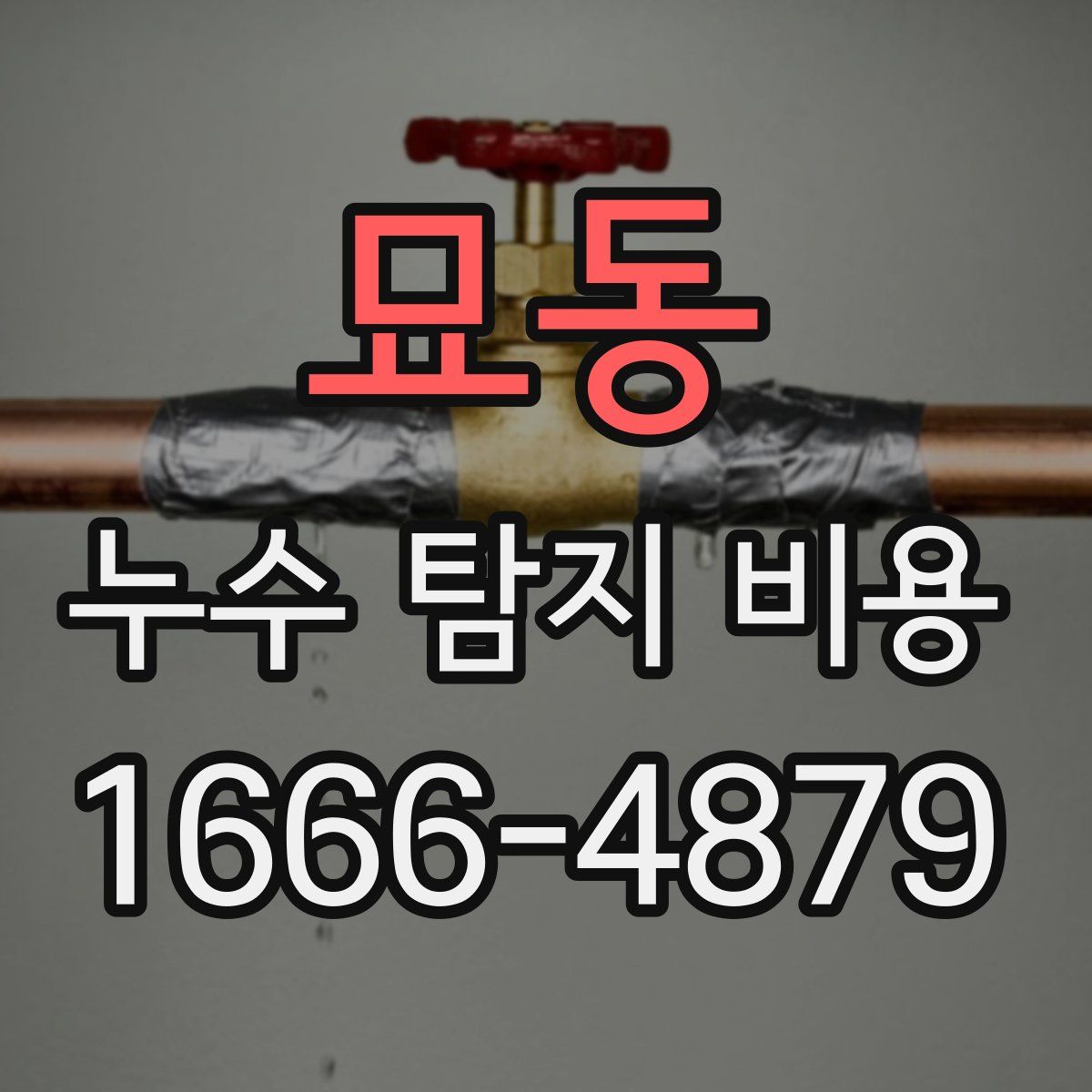 묘동 누수 탐지 비용
