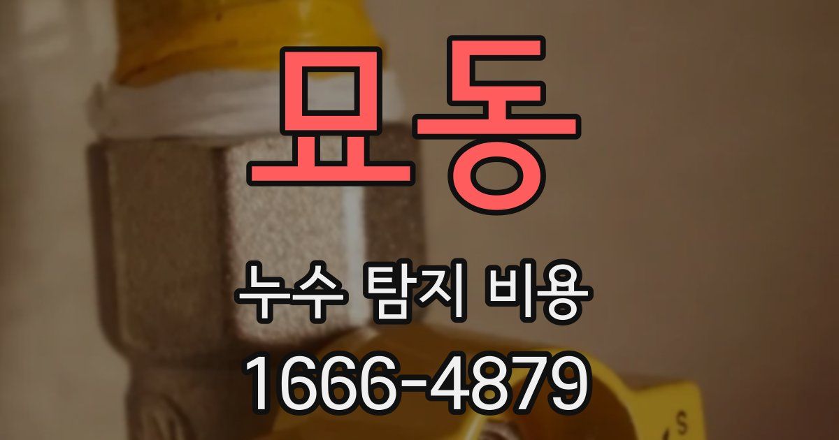 묘동 누수 탐지 비용