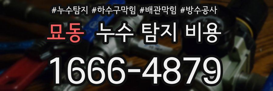묘동 누수 탐지 비용