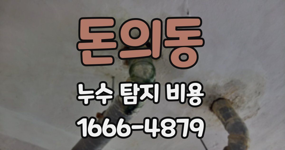 돈의동 누수 탐지 비용