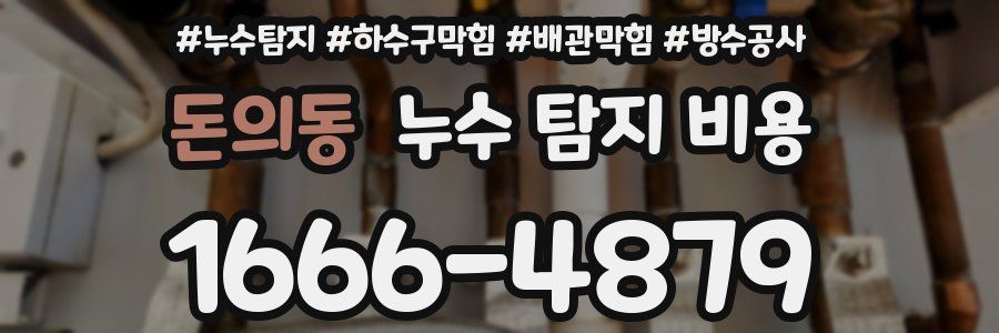 돈의동 누수 탐지 비용
