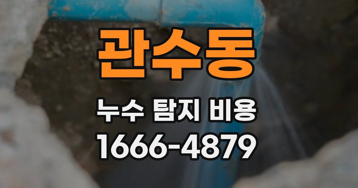 관수동 누수 탐지 비용