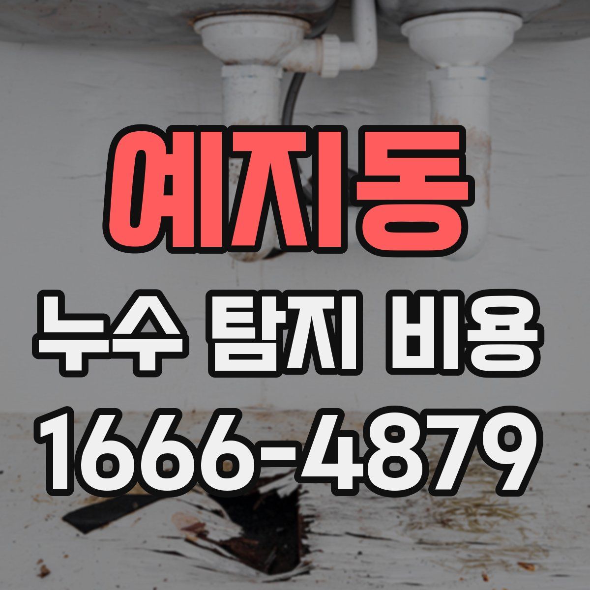 예지동 누수 탐지 비용