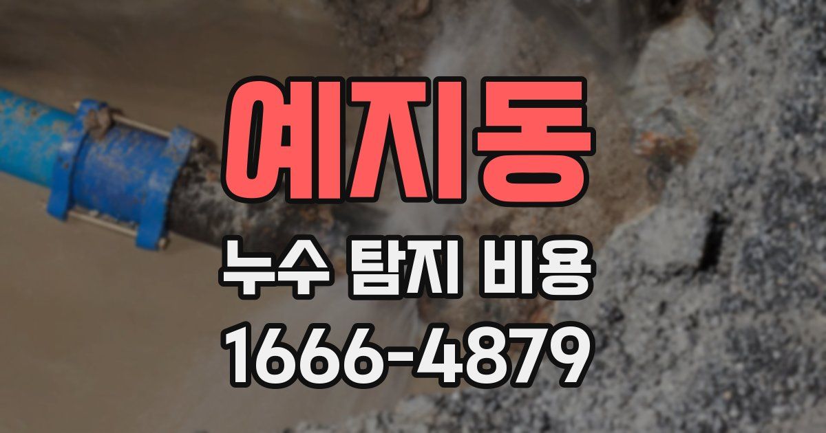 예지동 누수 탐지 비용
