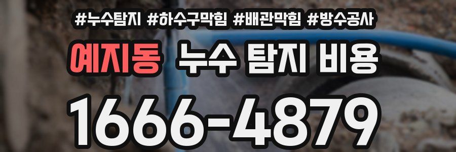 예지동 누수 탐지 비용