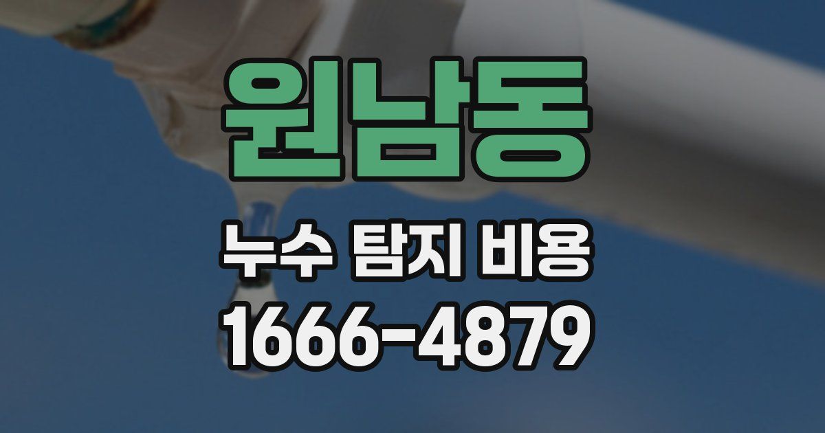 원남동 누수 탐지 비용
