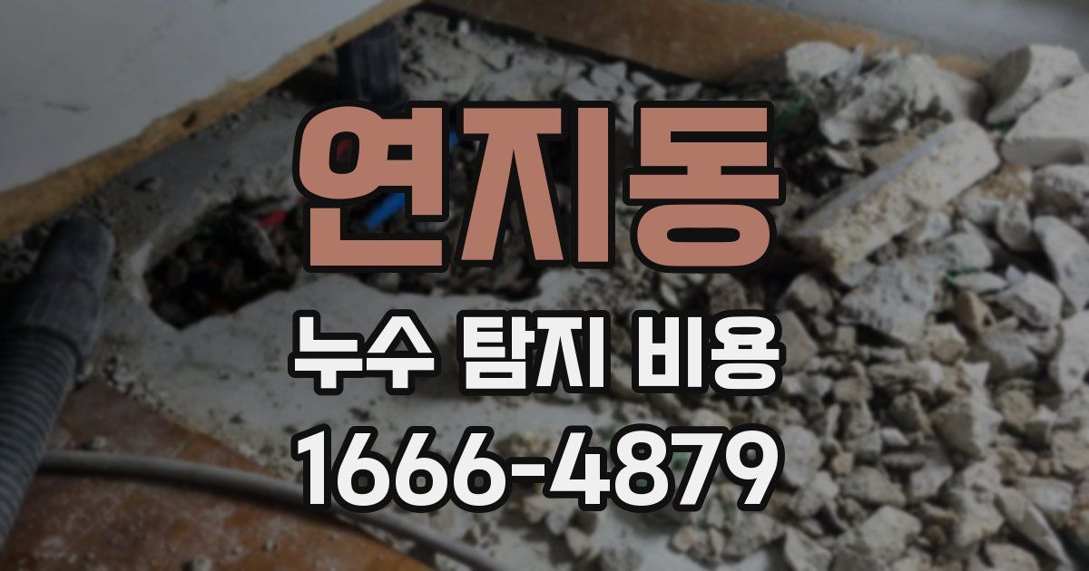 연지동 누수 탐지 비용